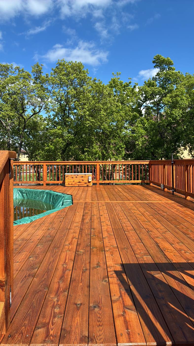 Freshly stained deck in Plymouth, MI