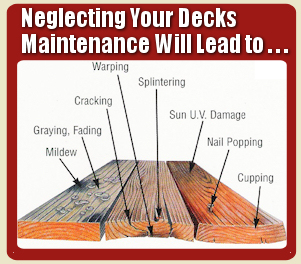 Best Deck Cleaners Michigan
